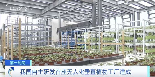 世界初！中國獨自開発の自動化垂直植物工場、生物技術普及サービスを牽引